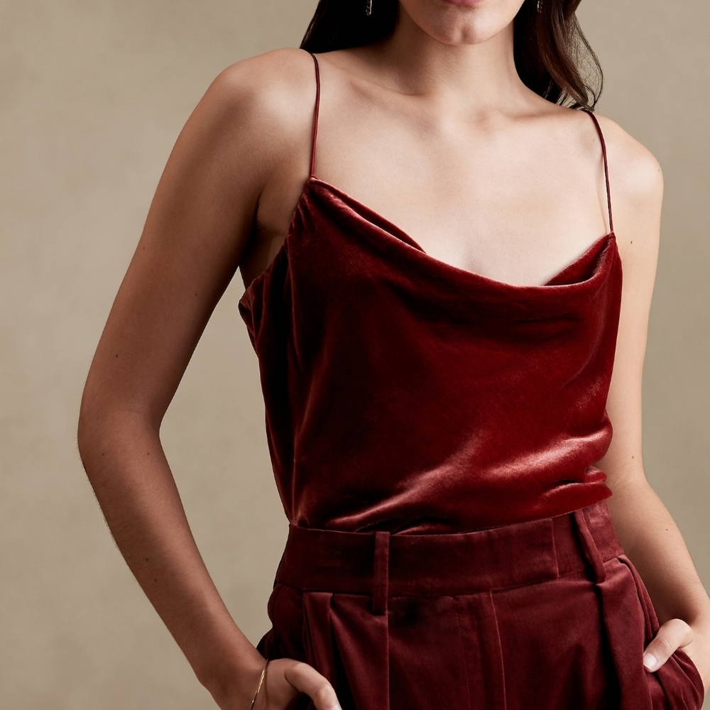 Banana Republic Rita Velvet top in cabin red